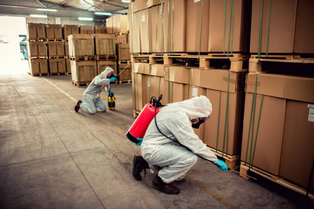 Best Best Pest Control Companies  in Hebron, KY