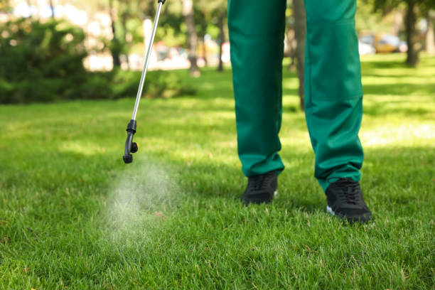 Best Pest Prevention Services  in Hebron, KY