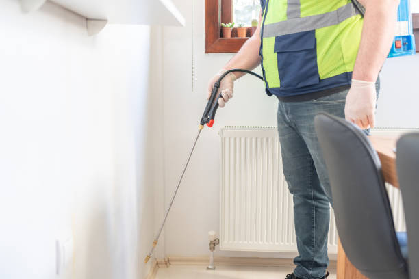 Best Termite Control Services  in Hebron, KY