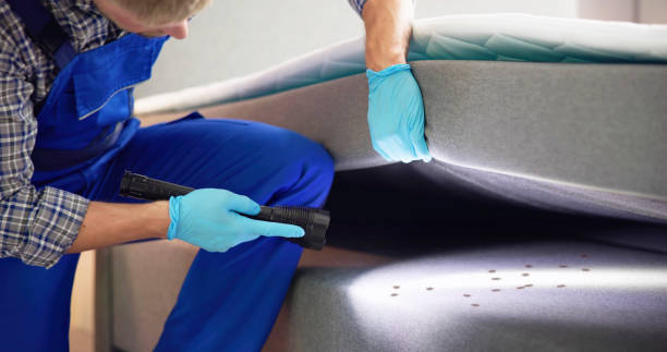 Best Cockroach Control Services  in Hebron, KY