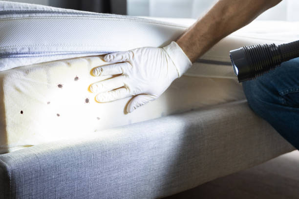 Best Affordable Pest Control Services  in Hebron, KY