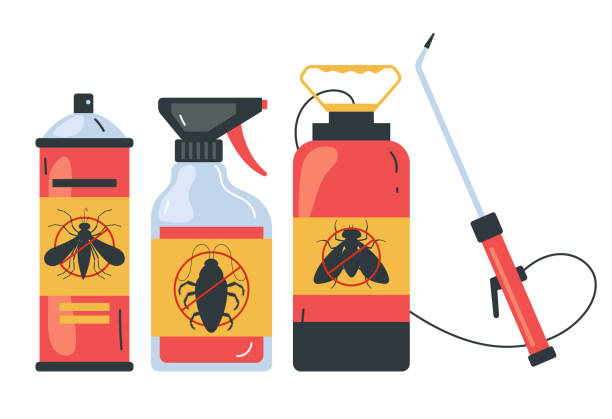 Professional Pest Control in Hebron, KY