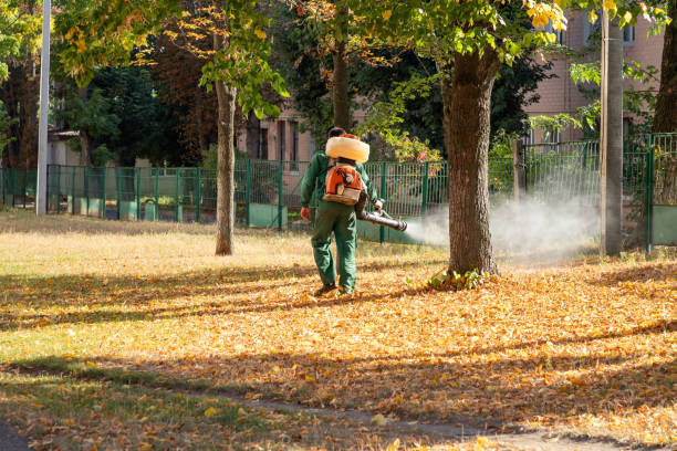 Best Pest Removal Services  in Hebron, KY